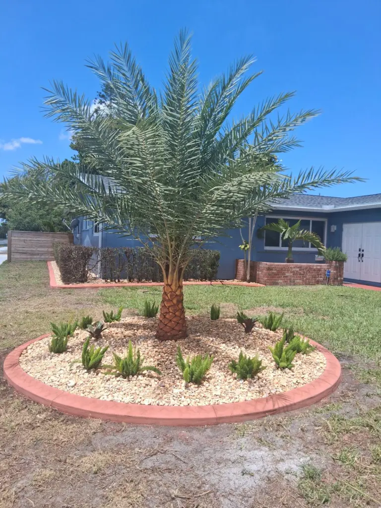 Round terracotta-colored concrete border around a palm in a lawn