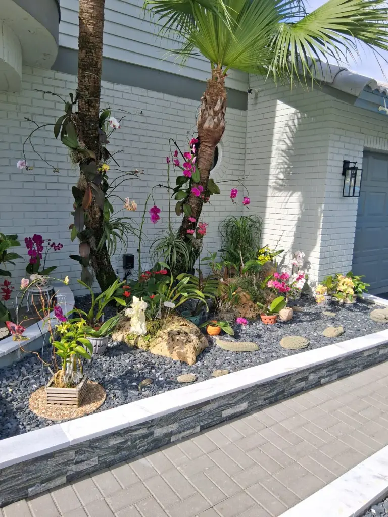Dark stacked stone border edging a rock bed with orchids on a palm