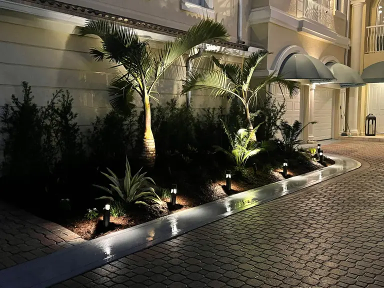 Paver driveway at night with lit concrete-bordered planting beds and small palms