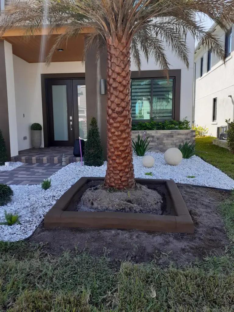 Square dark concrete border around a palm with white rock