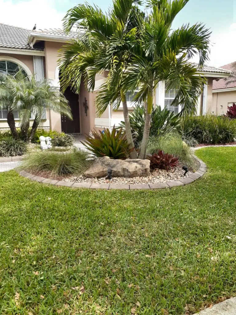 Island planting bed with palms and boulders in a front lawn