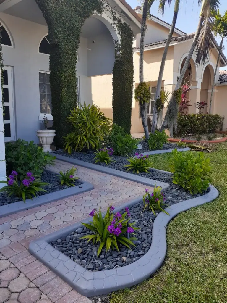 Grey concrete borders lining bromeliad beds beside a paver walk