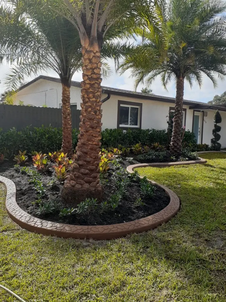 Curved grey border around a palm island bed in a lawn