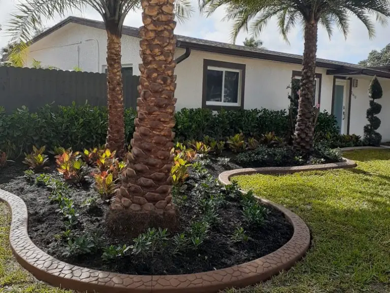 Curved grey border around a palm island bed in a lawn